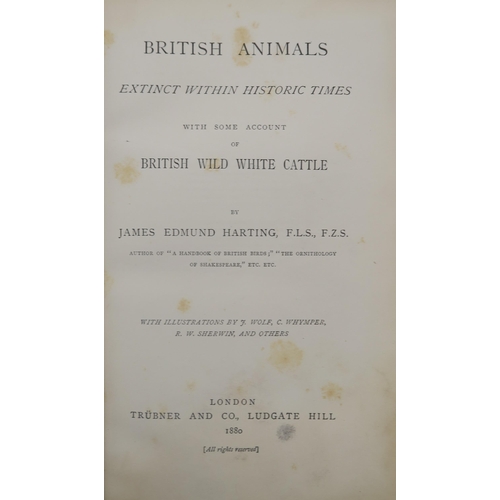 558 - NATURAL HISTORYThe Works in Natural History of Late Rev. Gilbert White, A.M.Comprising the Natural H... 