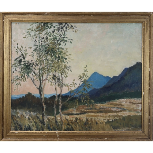 2992 - † SARAH GOUGH ADAMSON (BRITISH 1888-1963)PEAK OF KOHIMA (INDIA)Oil on canvas, bears signature and in... 