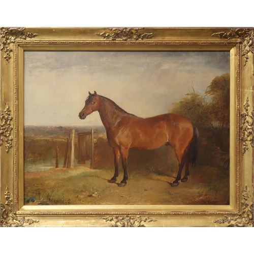 2995 - JOHN GLASS ARSA (SCOTTISH 1820-1865)BILLY, A COURSING PONY BELONGING TO W AITCHISON ESQOil on canvas... 