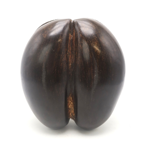 2650 - A COCO DE MER NUT (LODOICEA)Polished, with a hinged top, measuring approx. 30cm x 28cm... 