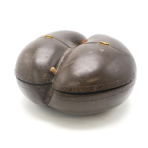 2650 - A COCO DE MER NUT (LODOICEA)Polished, with a hinged top, measuring approx. 30cm x 28cm... 