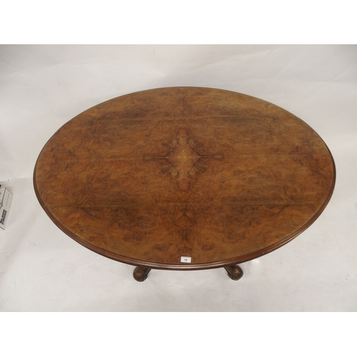 19 - A Victorian burr walnut veneered oval tilt top breakfast table with quarter veneered top on carved s... 