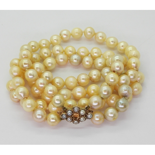 2809 - BAROQUE PEARLSa double string necklace with a 9ct gold citrine and pearl set decorative clasp. Short... 