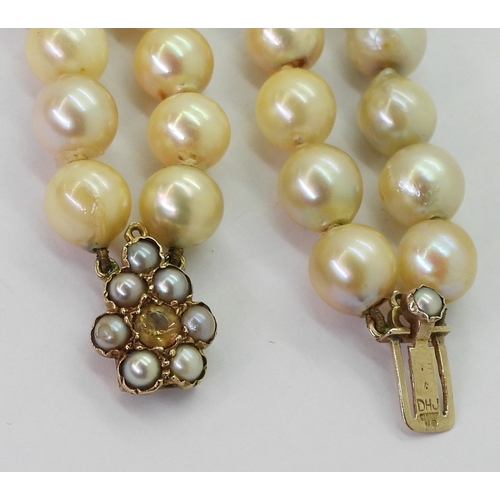 2809 - BAROQUE PEARLSa double string necklace with a 9ct gold citrine and pearl set decorative clasp. Short... 