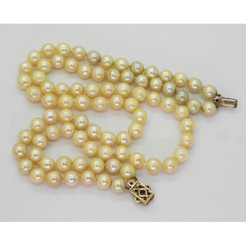 2809 - BAROQUE PEARLSa double string necklace with a 9ct gold citrine and pearl set decorative clasp. Short... 