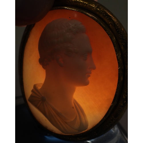 2812 - A CAMEO OF CESAR AUGUSTUSthe well carved cameo is approx 4.5cm x 3.8cm, in a yellow metal engraved b... 