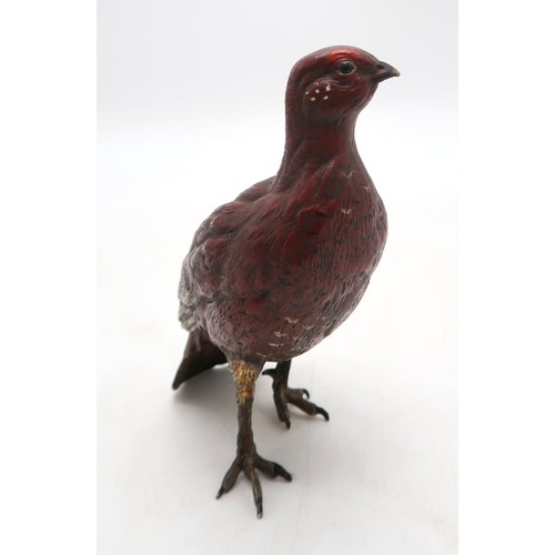 2290 - FRANZ BERGMAN (AUSTRIAN 1861-1936)A cold painted bronze model of a red grouse, painted in natural co... 