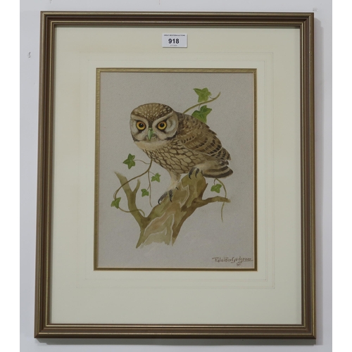 918 - RALSTON GUDGEON RSW (SCOTTISH 1910-1984) LITTLE HOWL Watercolour, signed lower right, 29.5... 