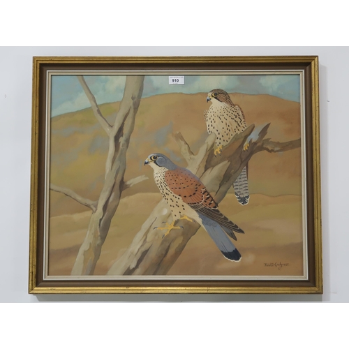 910 - RALSTON GUDGEON RSW (SCOTTISH 1910-1984) KESTRELS Watercolour, signed lower right, 50 x 61... 