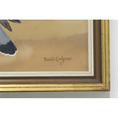 910 - RALSTON GUDGEON RSW (SCOTTISH 1910-1984) KESTRELS Watercolour, signed lower right, 50 x 61... 