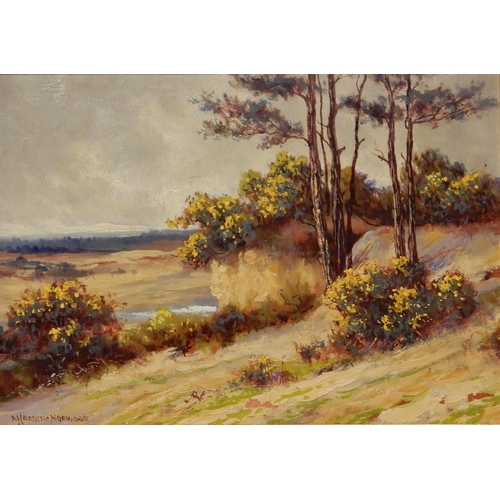 918 - ARTHUR HARDING NORWOOD (BRITISH fl.1889-1893) THE SAND HILL  Oil on board, signed low... 