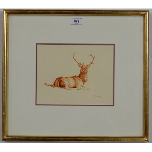 979 - OWEN WILLIAMS (WELSH b.1956) STAG Ink on paper, signed lower right, 18 x 22.5cm... 