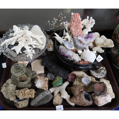 256 - A collection of shells, fossils, specimens and geodes etc