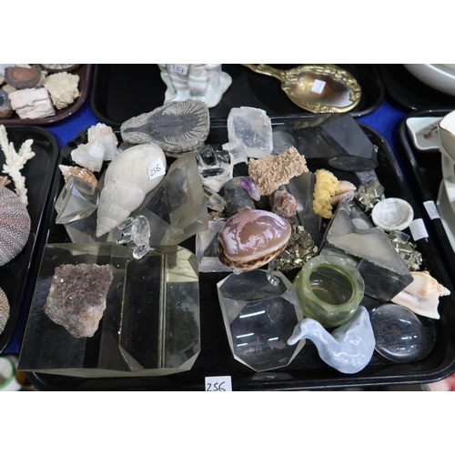 256 - A collection of shells, fossils, specimens and geodes etc