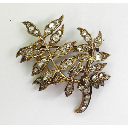 2715 - A DIAMOND BROOCHthe yellow metal leaf frond shape set throughout in old cut diamonds. With an estima... 