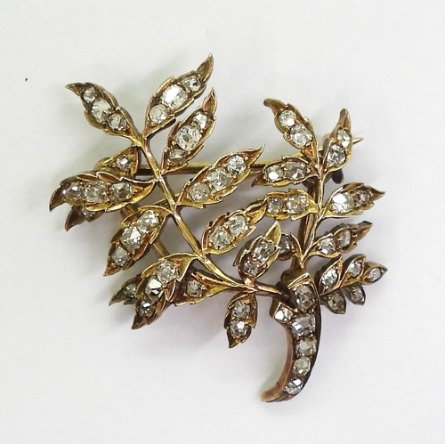 2715 - A DIAMOND BROOCHthe yellow metal leaf frond shape set throughout in old cut diamonds. With an estima... 