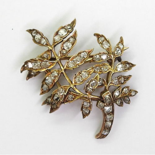 2715 - A DIAMOND BROOCHthe yellow metal leaf frond shape set throughout in old cut diamonds. With an estima... 