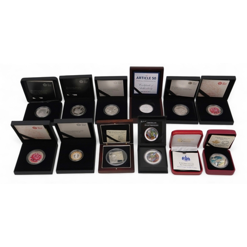 352 - A lot comprising twelve 1 oz silver commemorative coins approximate weight 330 grams