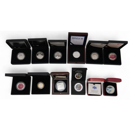 352 - A lot comprising twelve 1 oz silver commemorative coins approximate weight 330 grams