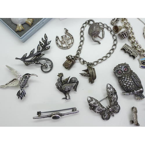 879 - A collection of silver and marcasite brooches to include an owl and a rooster, two silver charm brac... 