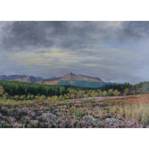 965 - DOUGLAS GRAHAM (SCOTTISH CONTEMPORARY) THE ARRAN HILLS Oil on board, signed lower left, 36... 