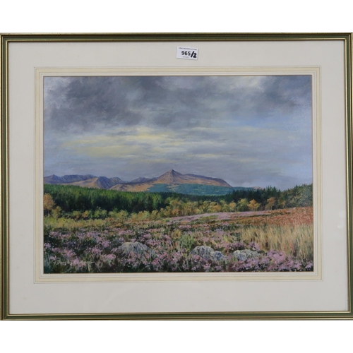 965 - DOUGLAS GRAHAM (SCOTTISH CONTEMPORARY) THE ARRAN HILLS Oil on board, signed lower left, 36... 