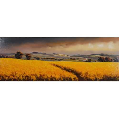 977 - ALLAN MORGAN (ENGLISH b.1952) LANDSCAPE Oil on board, signed lower left, 37 x 100cm &... 