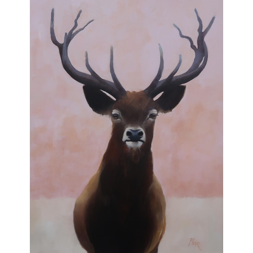 978 - JANE BLAIR (SCOTTISH CONTEMPORARY) STAG Oil on canvas, signed lower right, 88 x 67cm... 