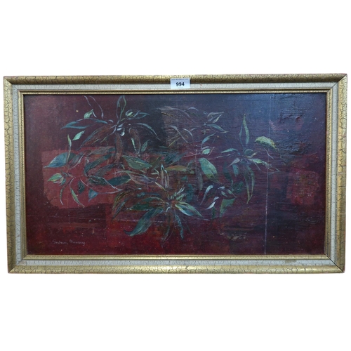 994 - GRAHAM MURRAY (SCOTTISH 1907-1987) BUD FORMS Oil on board, signed lower left, 32.5 x 60cm&... 