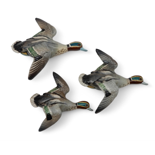 175 - Three graduating Beswick Teal ducks, no's 1530/1, 1530/2, 1530/3