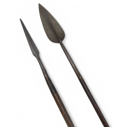 390 - Two large spears, one having a leaf point, measuring approx. 214cm and 194cm in length respectively ... 