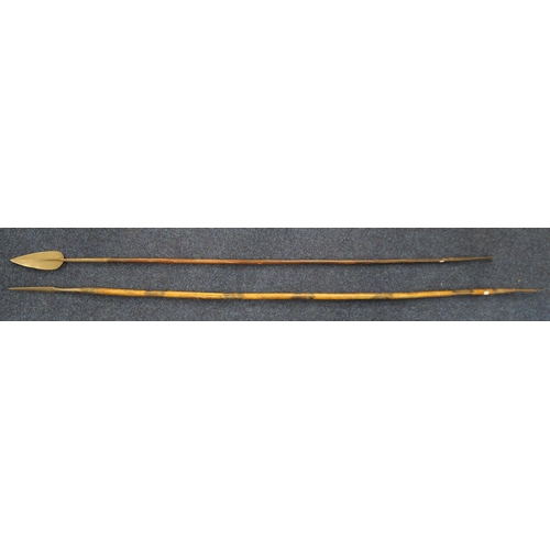 390 - Two large spears, one having a leaf point, measuring approx. 214cm and 194cm in length respectively ... 