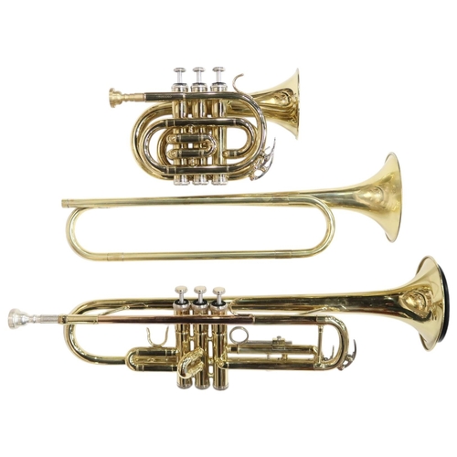 334 - A Gear4Music Cornett PTR-100G, a Sonata Trumpet with a mute, and a Natural Trumpet in a Oswal India ... 