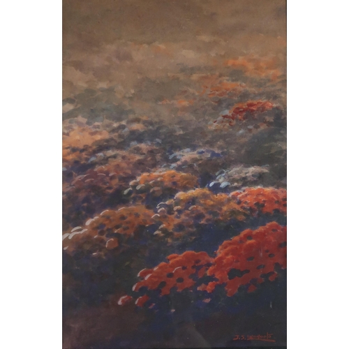 1012 - CONTEMPORARY SCHOOL FLOWER FIELD Watercolour, signed 'J.S. Yamamoto', 49 x 31cm Toget... 