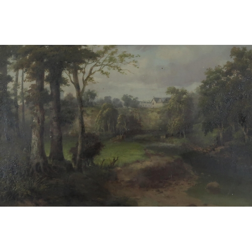 967 - 20th CENTURY SCHOOL FOREST VIEW Oil on board, signed 'J.D. Clark' lower left, 29 x 43cm... 