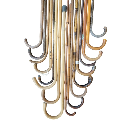 17 - A lot of seventeen assorted walking sticks some with metallic mounts (17)