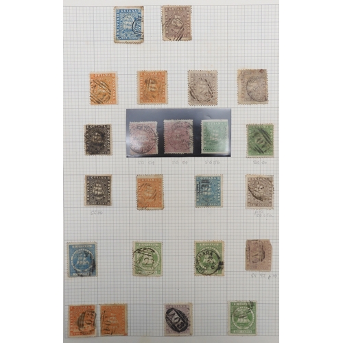 Lot 7037      