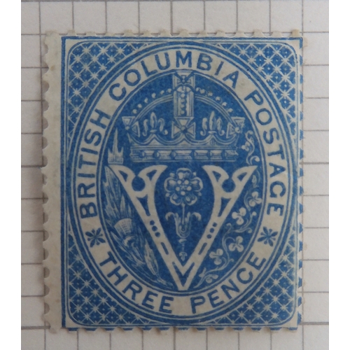 Lot 7050      