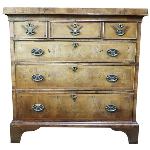Lot 25        