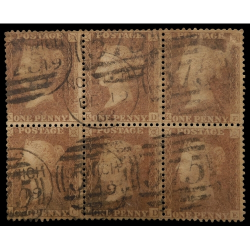 Lot 7018      