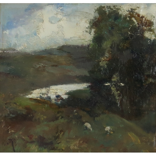 Lot 2900      