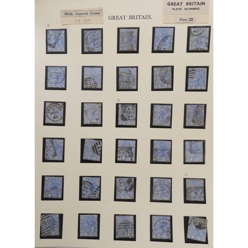 Lot 7019      