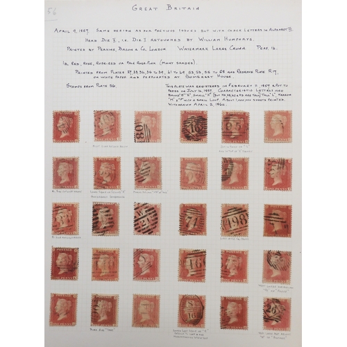Lot 7020      