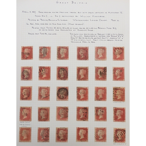 7020 - LINE ENGRAVED sg38-sg40 1d red die II perforation 14 state to be plate 56, a complete reconstruction... 
