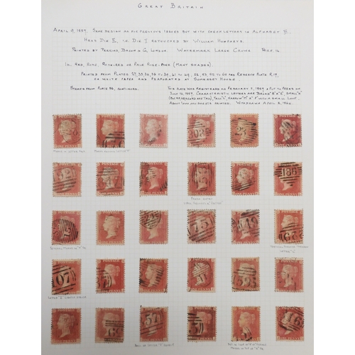 7020 - LINE ENGRAVED sg38-sg40 1d red die II perforation 14 state to be plate 56, a complete reconstruction... 