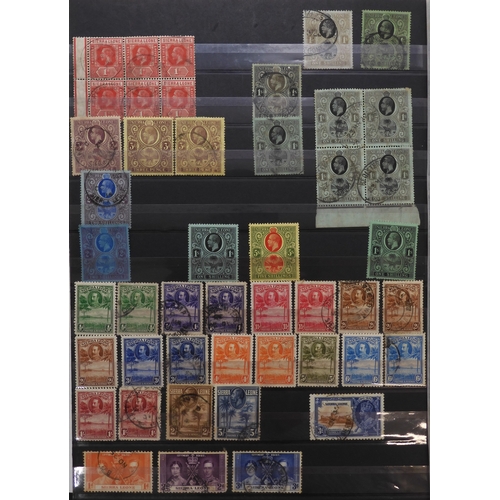 7127 - SIERRA LEONE a collection on three stock pages to include 6d x 3 no watermark, 1872 sg8 x 2 sg10 use... 