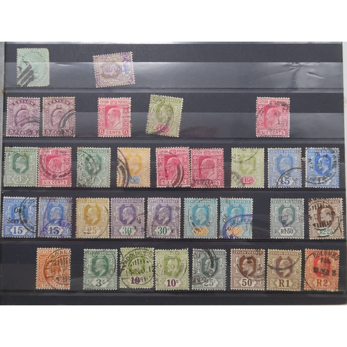 7163 - CEYLON&nbsp; a collection on 4 stock book pages watermark star values to 1/- , various watermarks an... 