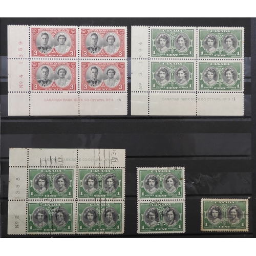 7175 - CANADA a collection in a green stock book&nbsp; from 1838 including large heads to 15c with shades, ... 