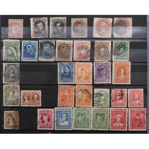 7175 - CANADA a collection in a green stock book&nbsp; from 1838 including large heads to 15c with shades, ... 