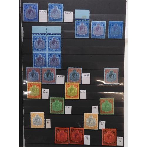Lot 7183      